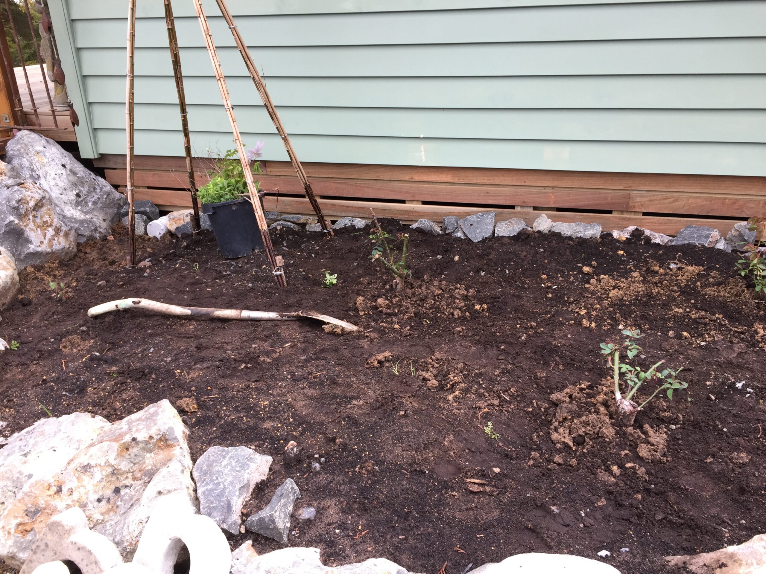 The beginnings of a garden