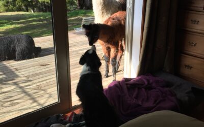 Morning kisses!