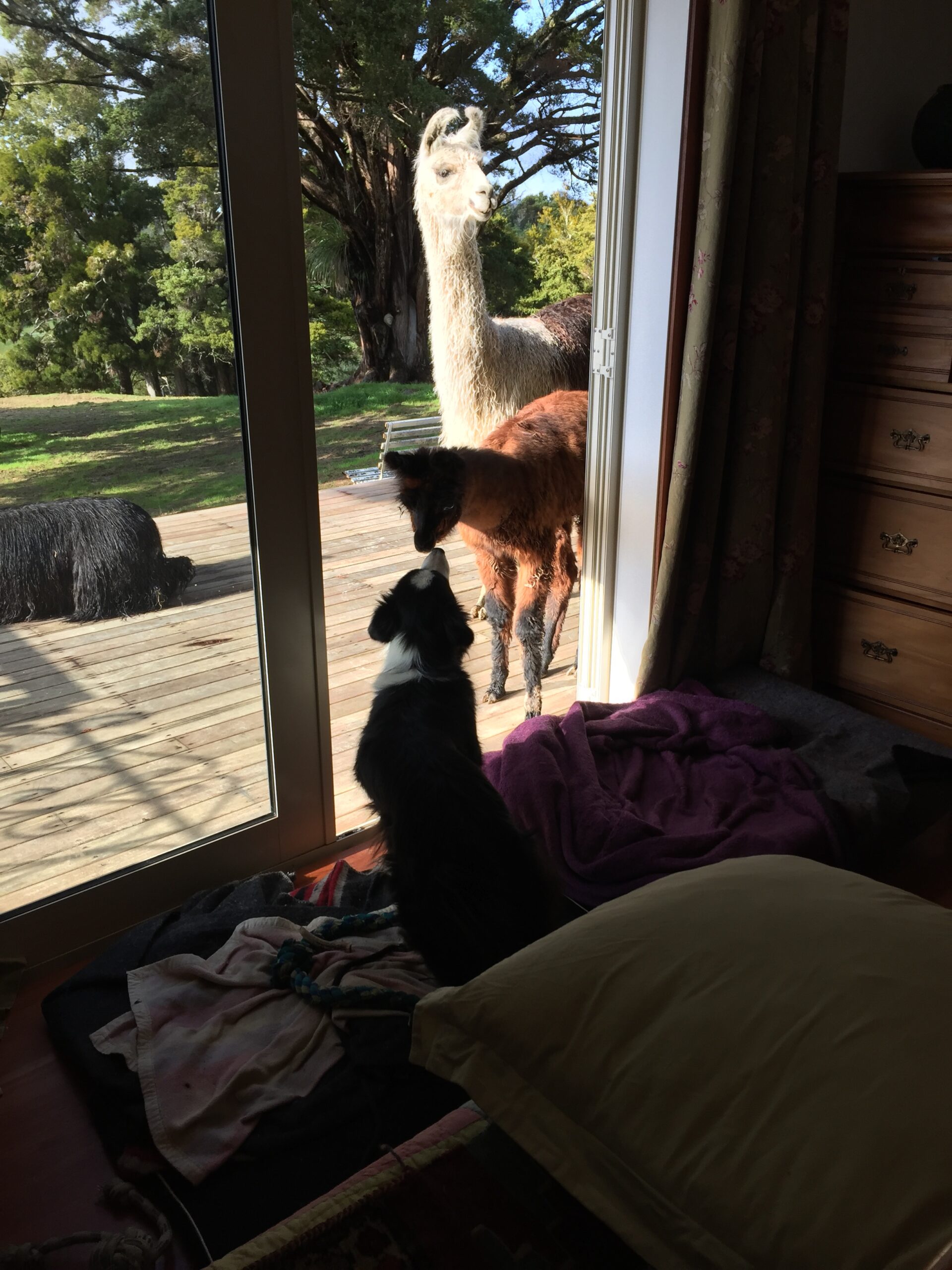 Morning kisses!