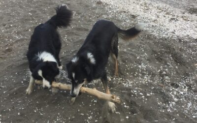 A walk on the beach