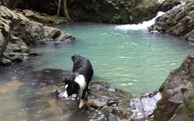 Potential swimming hole