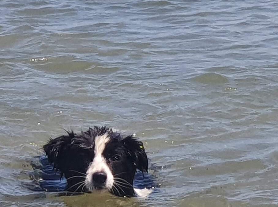 Clary learns to swim